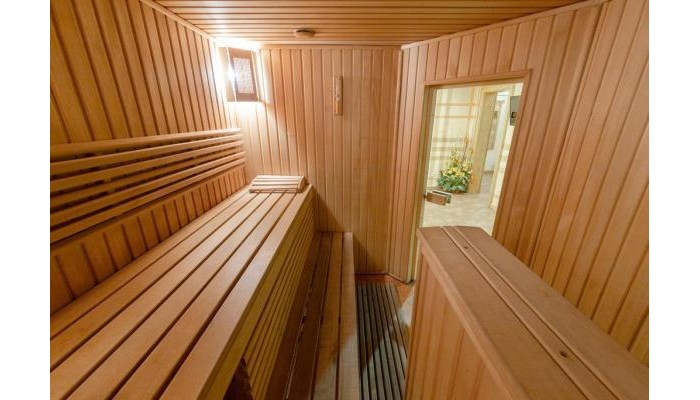 Ganz Hotel Ski Lift №5 poza 17