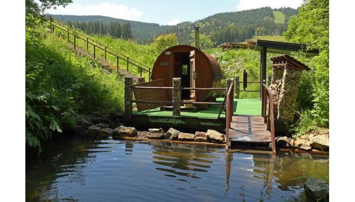 Hotel Chalet Crepdechine poza 3