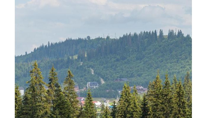 Hotel Gold Palace poza 1