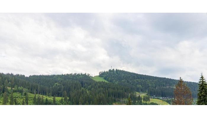 Hotel Gold Palace poza 6