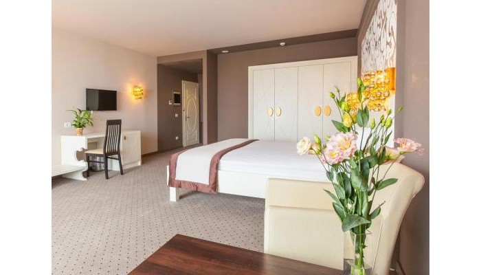 Continental Business Hotel poza 0